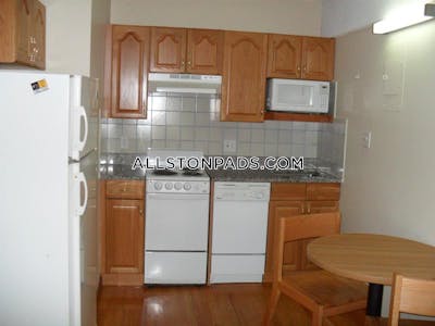 Allston Apartment for rent Studio 1 Bath Boston - $2,200 No Fee