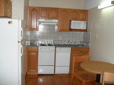 Allston Apartment for rent Studio 1 Bath Boston - $2,200 No Fee