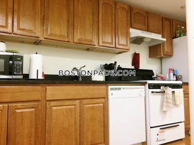 Allston/brighton Border 3 Beds 2 Baths Boston - $3,500 No Fee