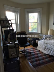 Brookline Apartment for rent 1 Bedroom 1 Bath  Washington Square - $2,250 No Fee