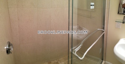 Brookline Apartment for rent 2 Bedrooms 2 Baths  Washington Square - $3,600 No Fee