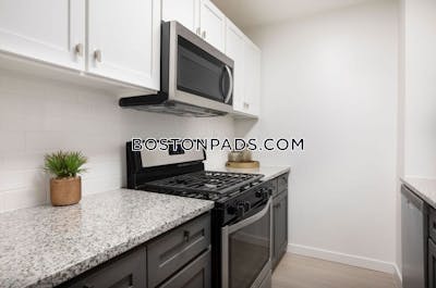 Mission Hill 2 Bedroom in Mission Hill Boston - $3,649
