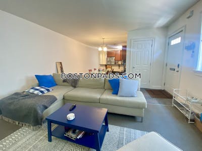 Cambridge Amazing 2 bed apartment right by the Charles River  Central Square/cambridgeport - $4,200 50% Fee
