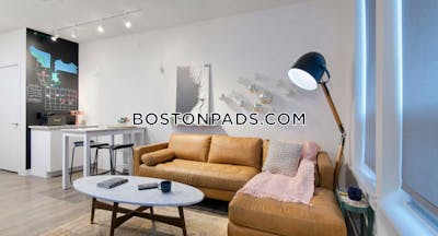 Cambridge Gorgeous 2 bed 2 bath available NOW in Cambridge!  Lechmere - $4,903