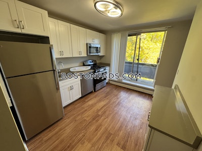 Brighton 3 Beds 1 Bath Boston - $3,645 No Fee