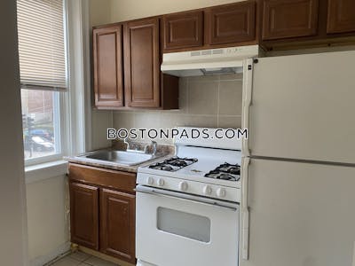 Allston/brighton Border Apartment for rent 3 Bedrooms 1 Bath Boston - $2,495