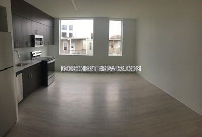 Dorchester Apartment for rent 1 Bedroom 1 Bath Boston - $2,545