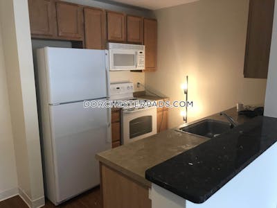 Dorchester Apartment for rent 2 Bedrooms 2 Baths Boston - $5,593 No Fee