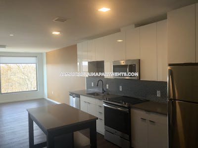 Jamaica Plain Apartment for rent 2 Bedrooms 2 Baths Boston - $4,250 No Fee