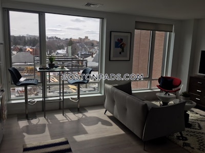 Brighton Apartment for rent 2 Bedrooms 2 Baths Boston - $3,912 No Fee