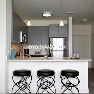 Quincy Apartment for rent 1 Bedroom 1 Bath  Quincy Center - $2,789 No Fee