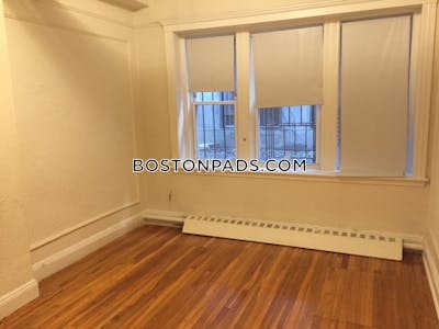 Allston/brighton Border Apartment for rent 1 Bedroom 1 Bath Boston - $2,495 50% Fee