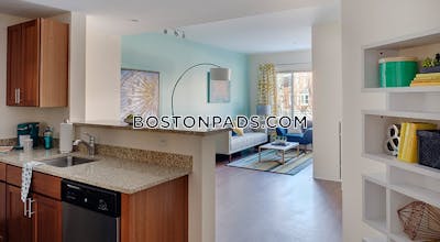 Dorchester Studio  Luxury in BOSTON Boston - $2,681 No Fee