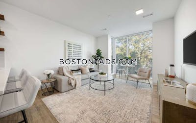 Brighton Apartment for rent 1 Bedroom 1 Bath Boston - $3,685