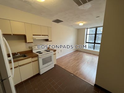 Downtown Apartment for rent 1 Bedroom 1 Bath Boston - $2,525