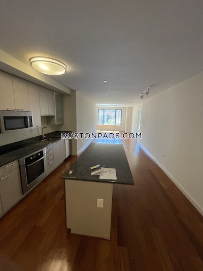 West End Apartment for rent 1 Bedroom 1 Bath Boston - $3,780