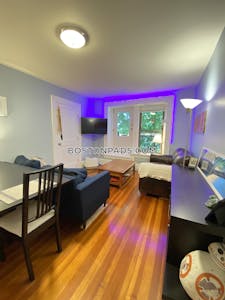 Brookline Apartment for rent 2 Bedrooms 1 Bath  Washington Square - $3,200 No Fee